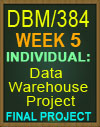 DBM/384 Data Warehouse Project Final Project